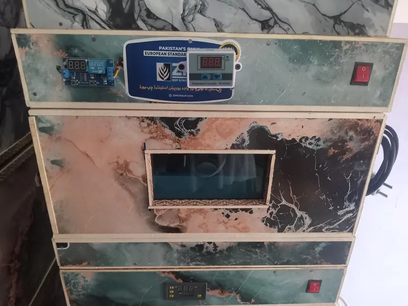 50 eggs incubator — photo 6