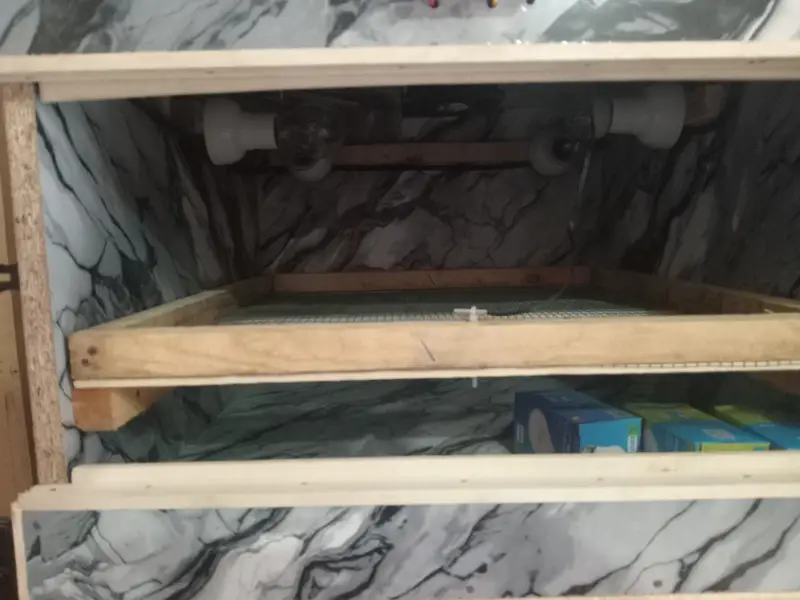 50 eggs incubator — photo 9