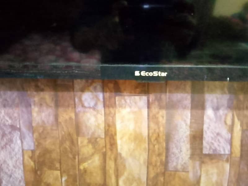 40 inch android Ecostar 1
