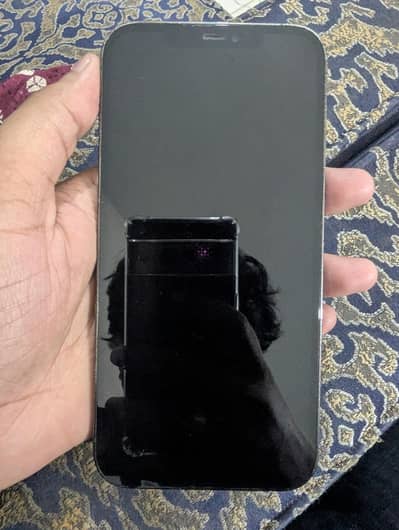 Apple iPhone 12 Pro Max