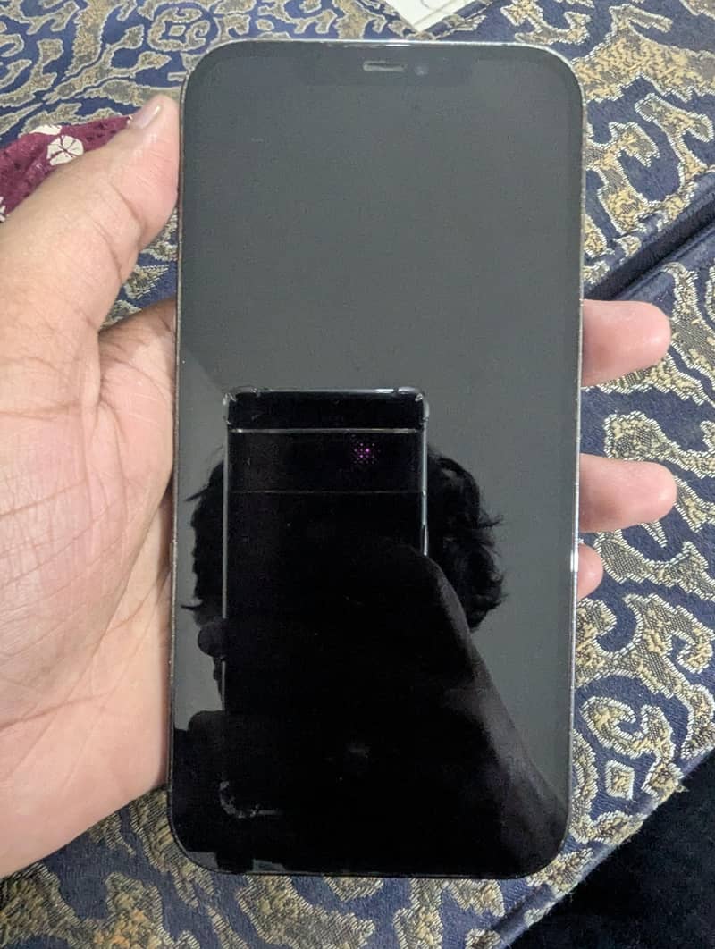 Apple iPhone 12 Pro Max 0