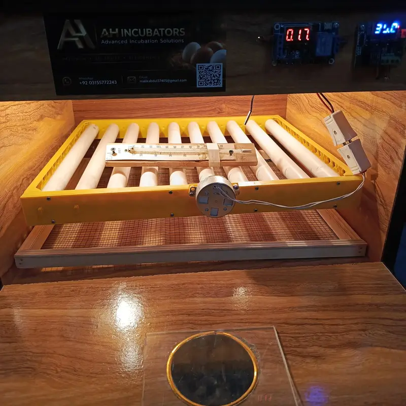 manual & automatic incubator, brooder 30,50,100,120,200,300,500 eggs — photo 3
