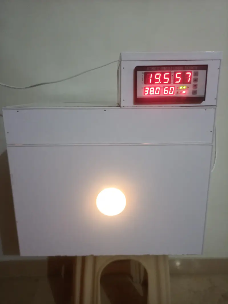 manual & automatic incubator, brooder 30,50,100,120,200,300,500 eggs — photo 12