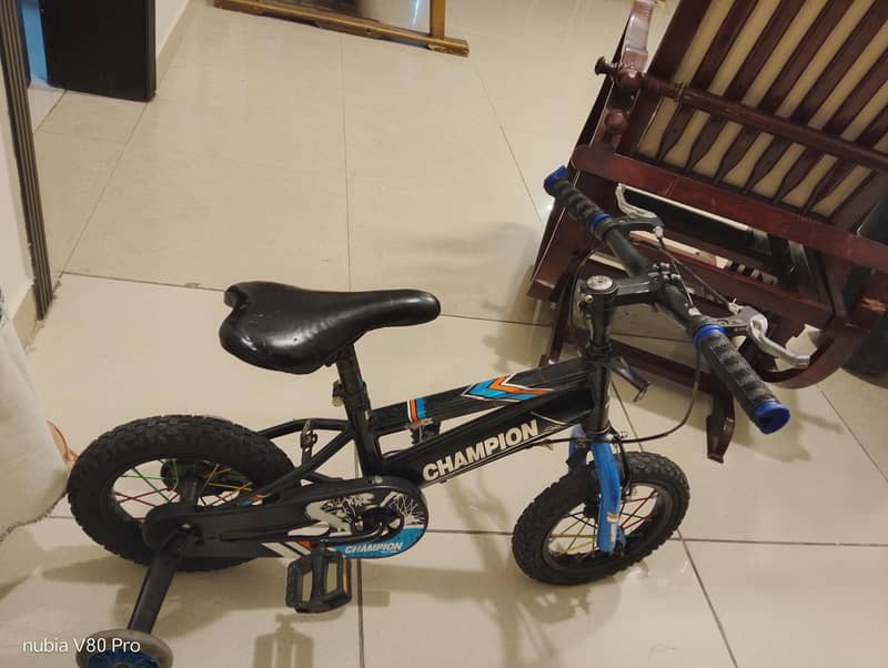 branded Bicycle, 2