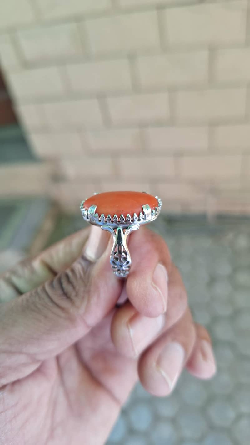 Marjan Italian 1