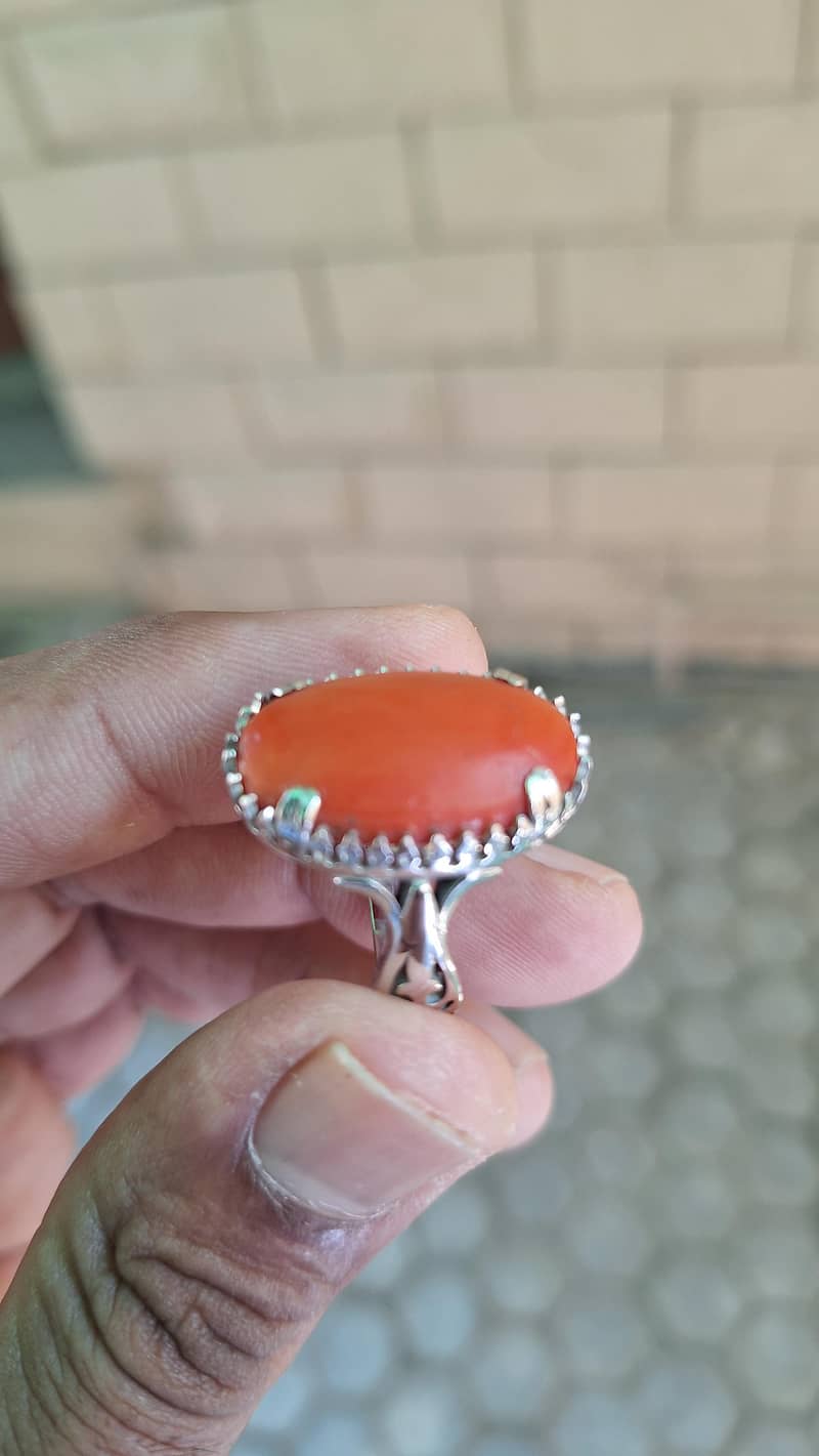 Marjan Italian 2