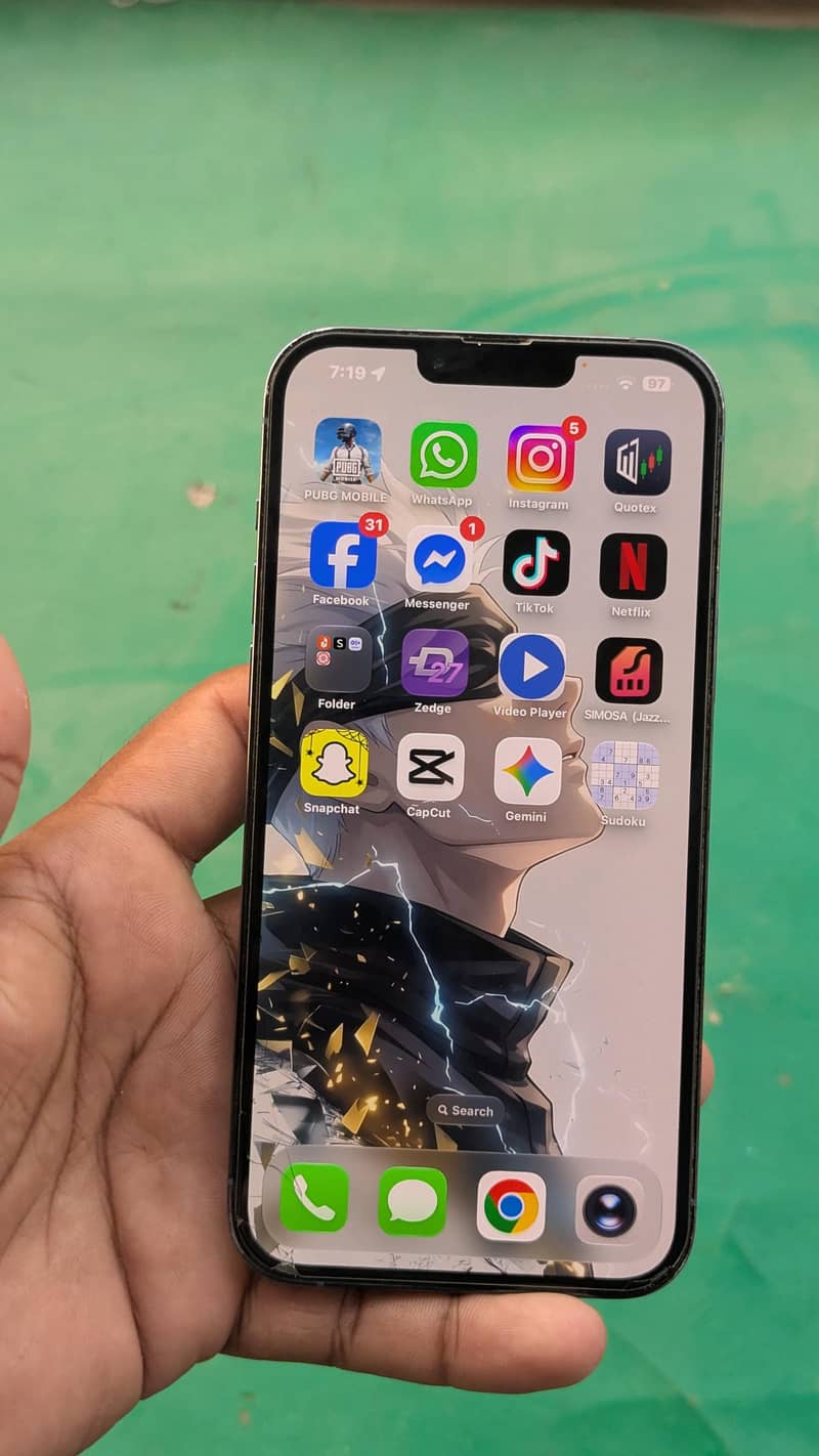 Apple iPhone 13 Pro Max 0