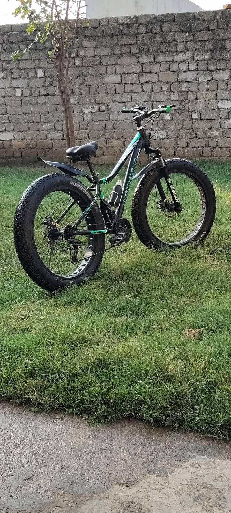 Morgan Bicycle 1