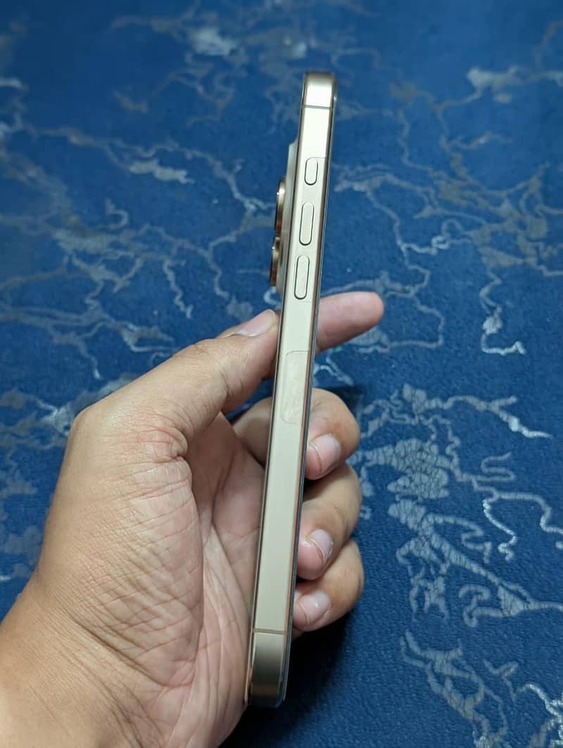 Apple iPhone 16 Pro Max 1
