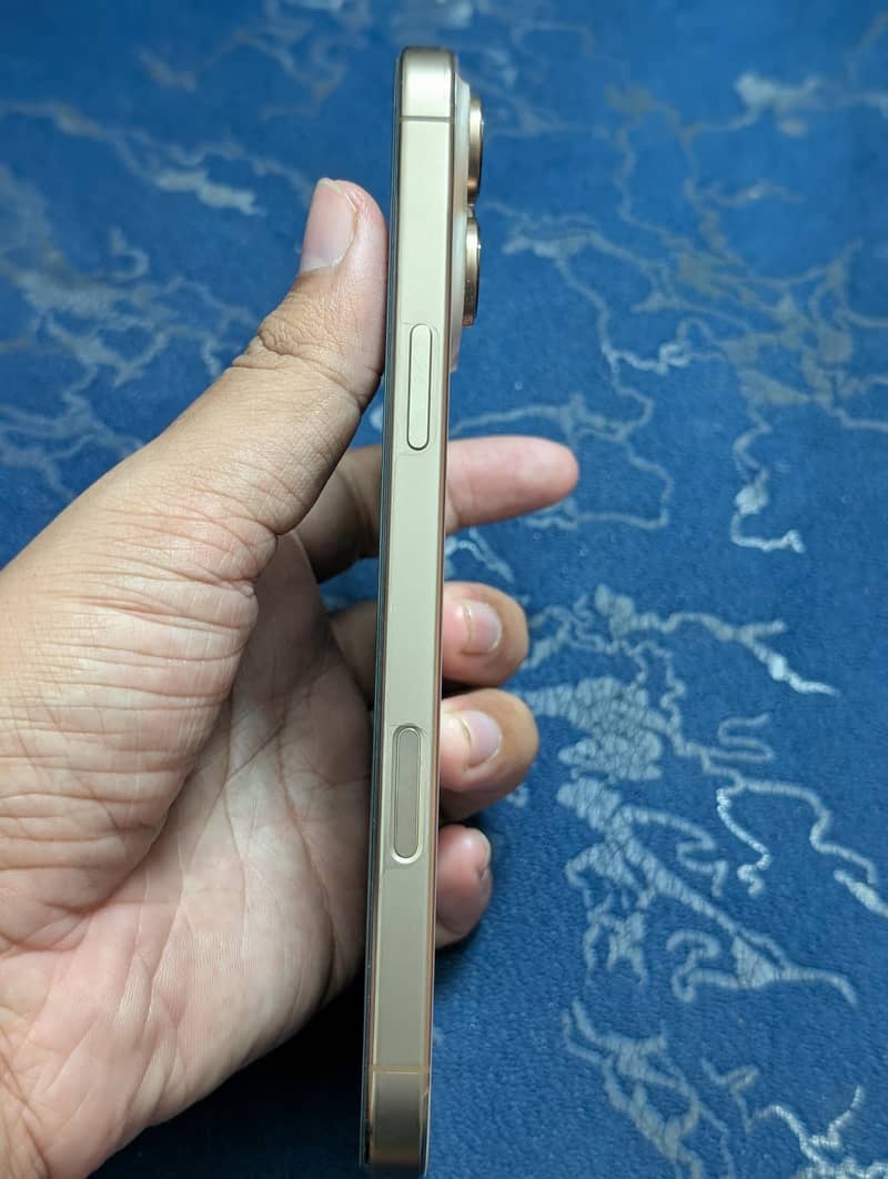 Apple iPhone 16 Pro Max 2