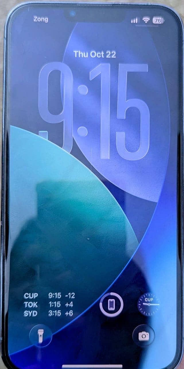 Apple iPhone 13 Pro Max 4