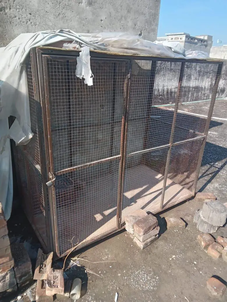 Two detachabe Cages — photo 6