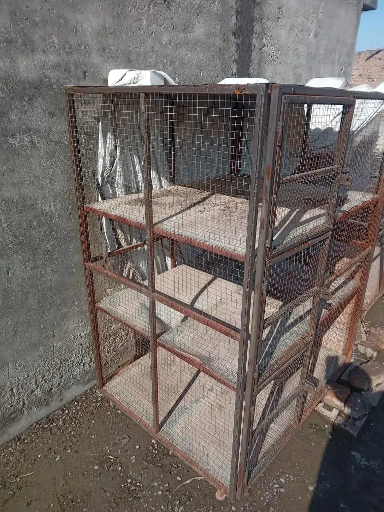 Two detachabe Cages — photo 7