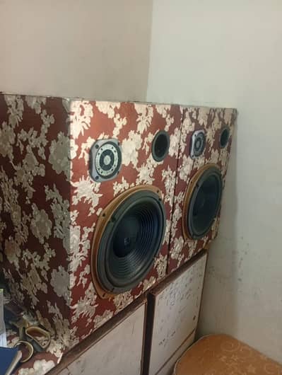 Coral Speakers