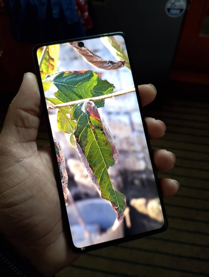 Google Pixel 7 Pro 3