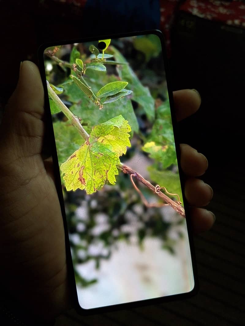 Google Pixel 7 Pro 4