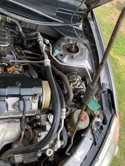 Honda Civic Prosmetic 2005