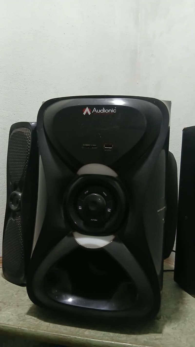 Audionic R30 Woofers 1