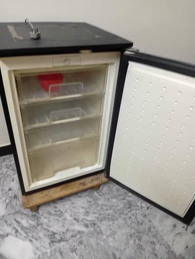 panatron vertical freezer