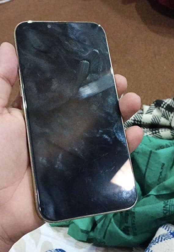 Apple iPhone 13 Pro Max 2