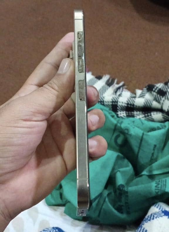 Apple iPhone 13 Pro Max 3