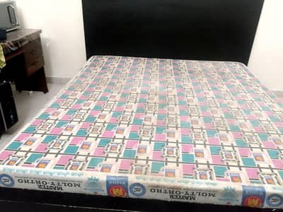 master molty Ortho mattress king size