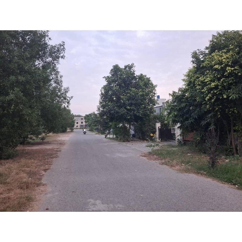 5 Marla Plot On Prime Location 5