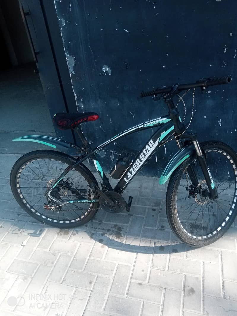 Hybrid Bicycle 1