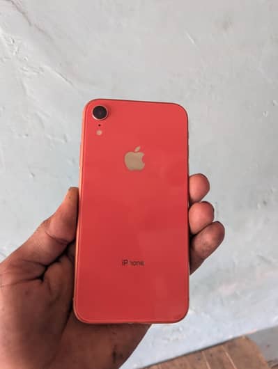 iphone XR Total original