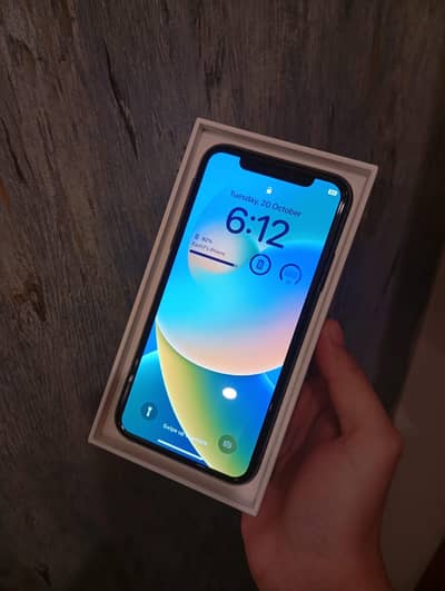 Apple iPhone X