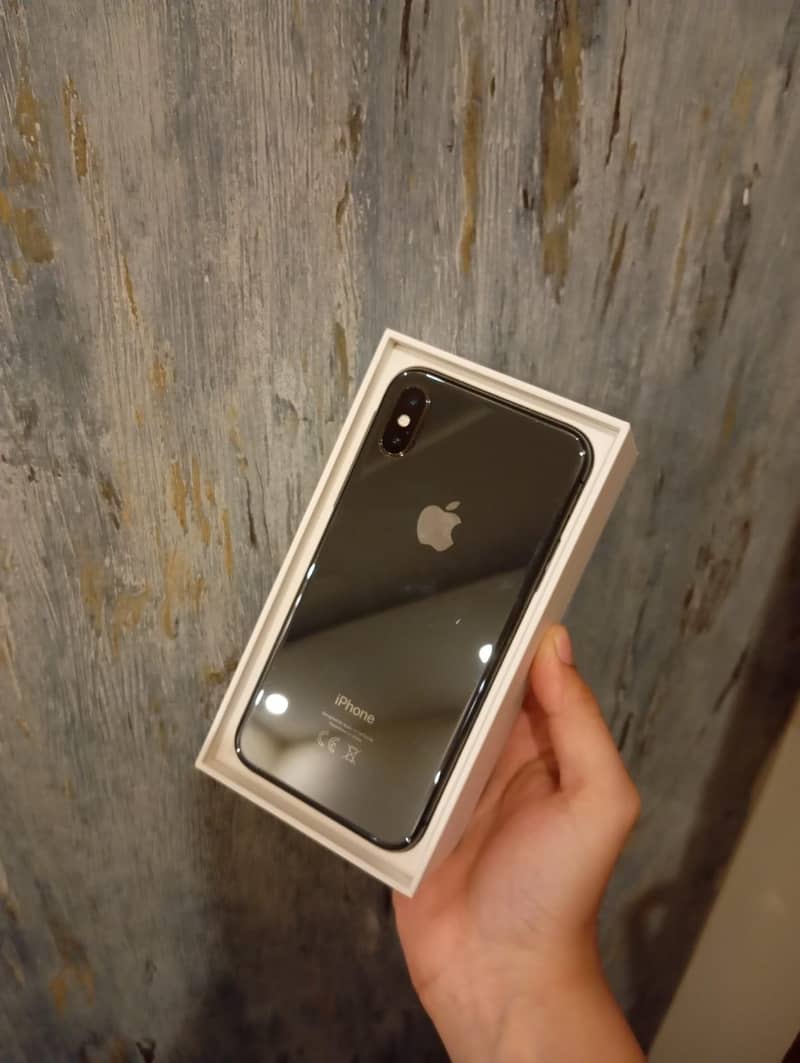 Apple iPhone X 1