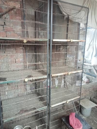 birds cages for sale