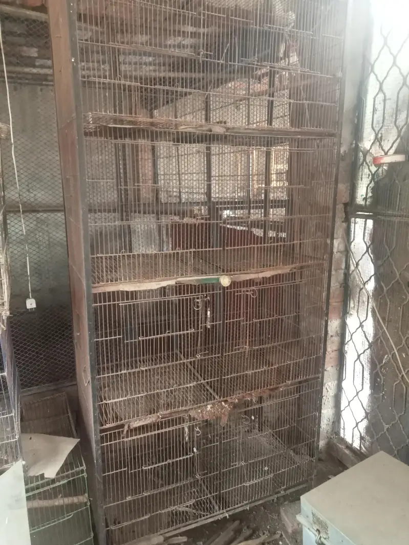 birds cages for sale — photo 2