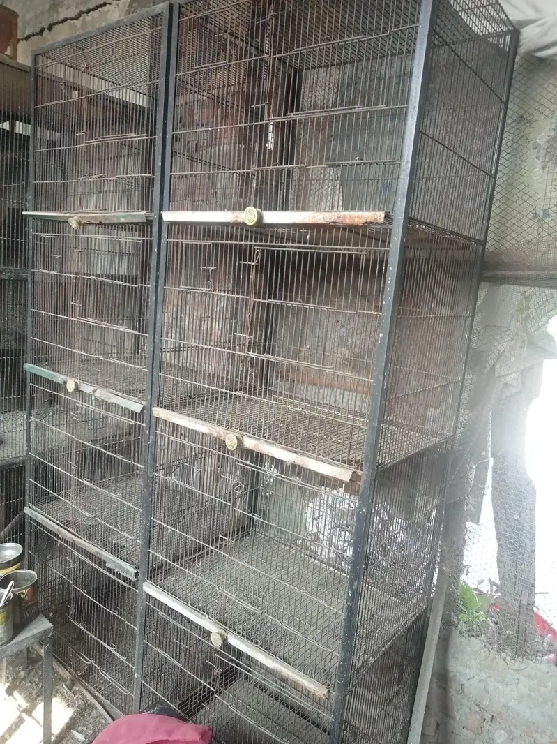 birds cages for sale — photo 3