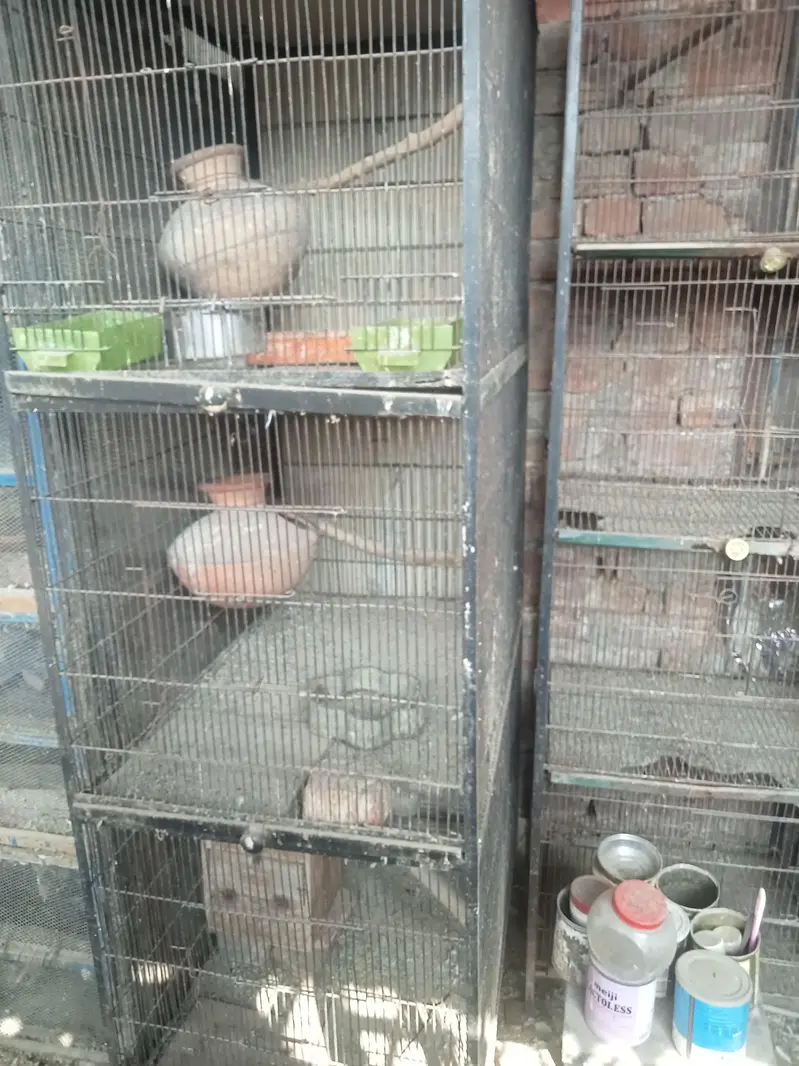 birds cages for sale — photo 4