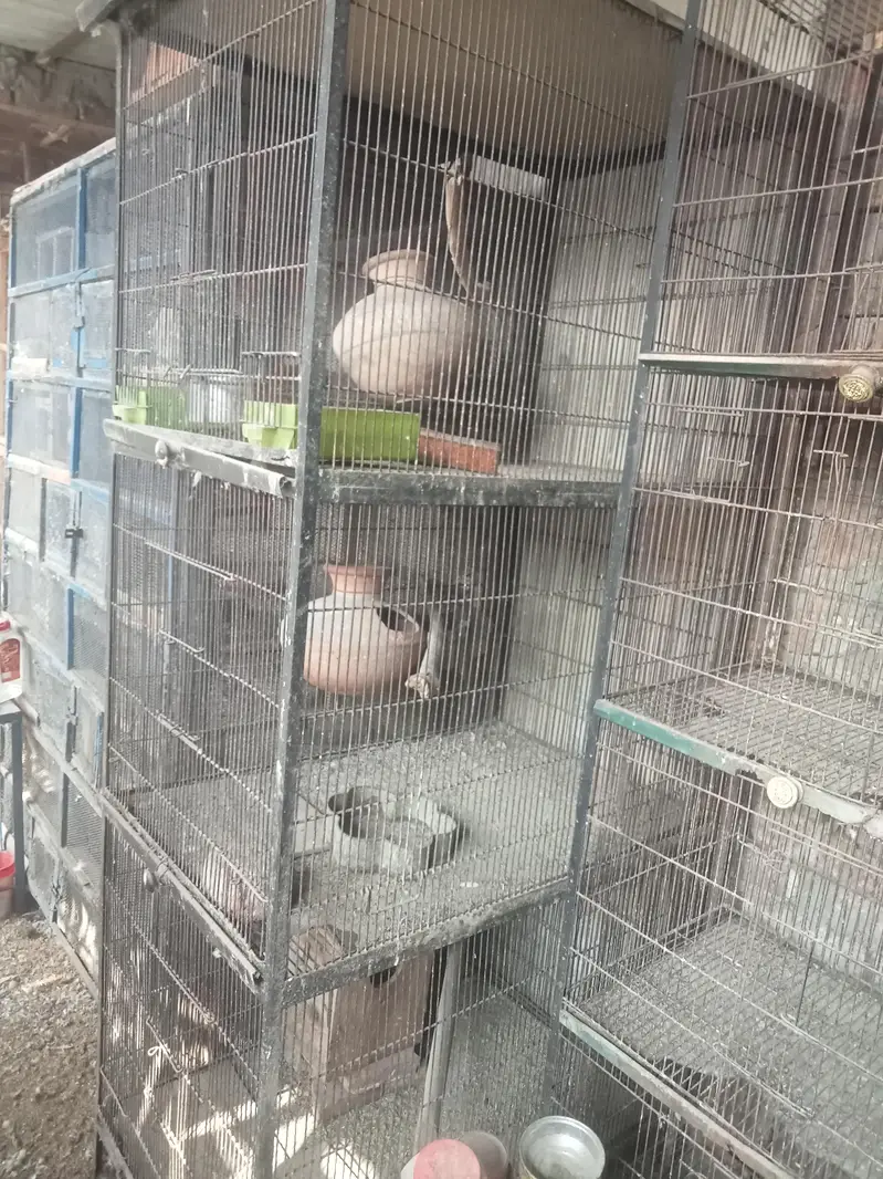 birds cages for sale — photo 5