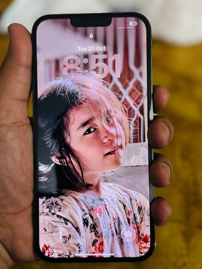 Apple iPhone 13 Pro Max 0