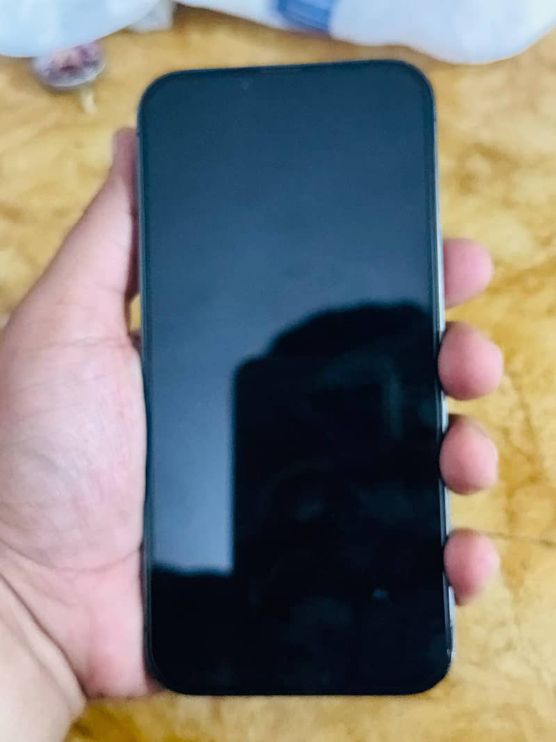 Apple iPhone 13 Pro Max 1