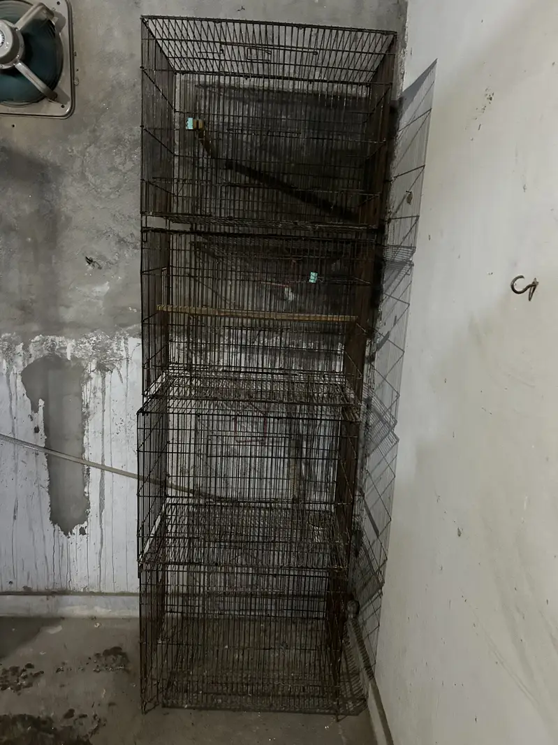 Folding cage for sale 2ft by 1.5 ft — photo 2