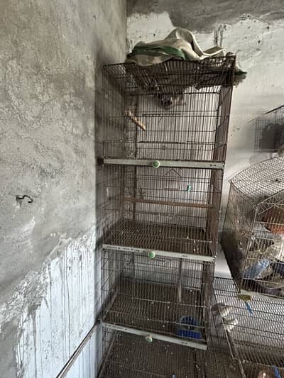 Folding cage for sale 2ft by 1.5 ft