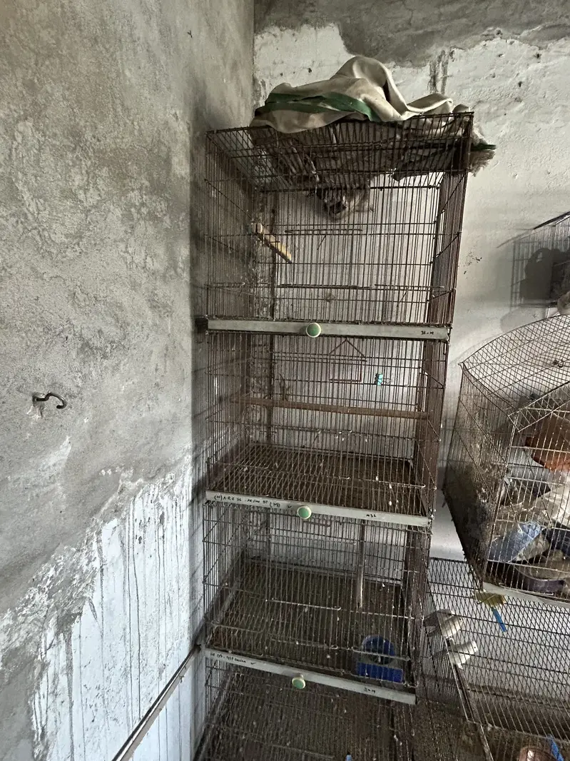 Folding cage for sale 2ft by 1.5 ft — photo 3
