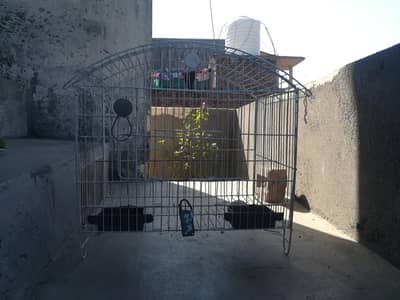 cages