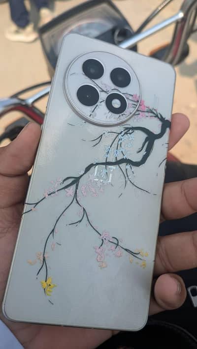 One Plus 13R