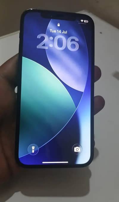 Apple iPhone 12 Pro
