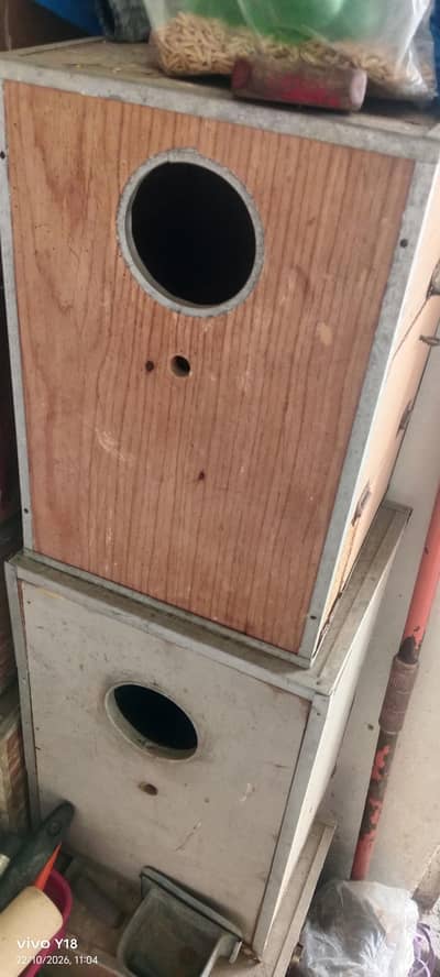 Cocktail love bird box