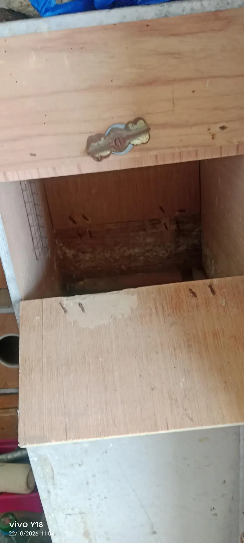 Cocktail love bird box — photo 3