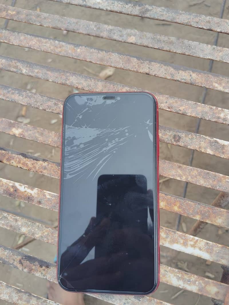 Apple iPhone XR 1