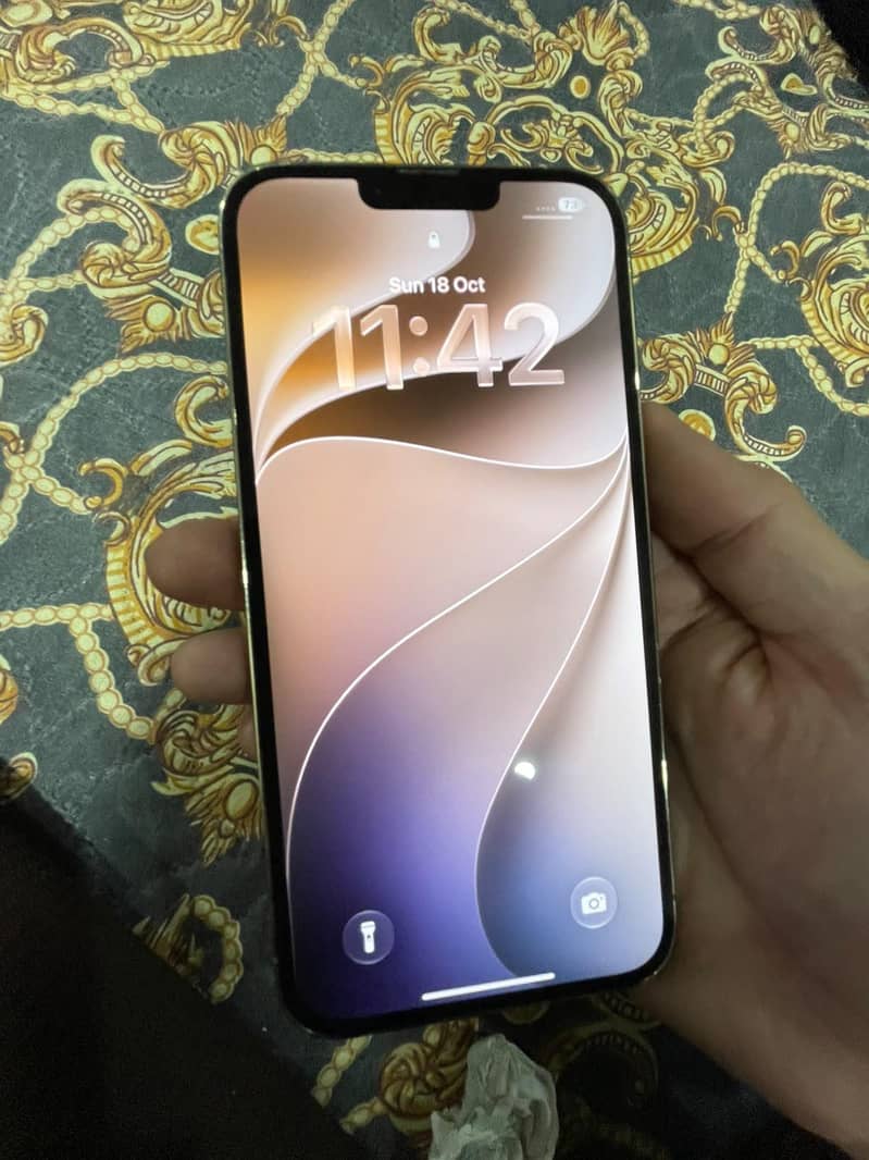 Apple iPhone 13 Pro Max 1