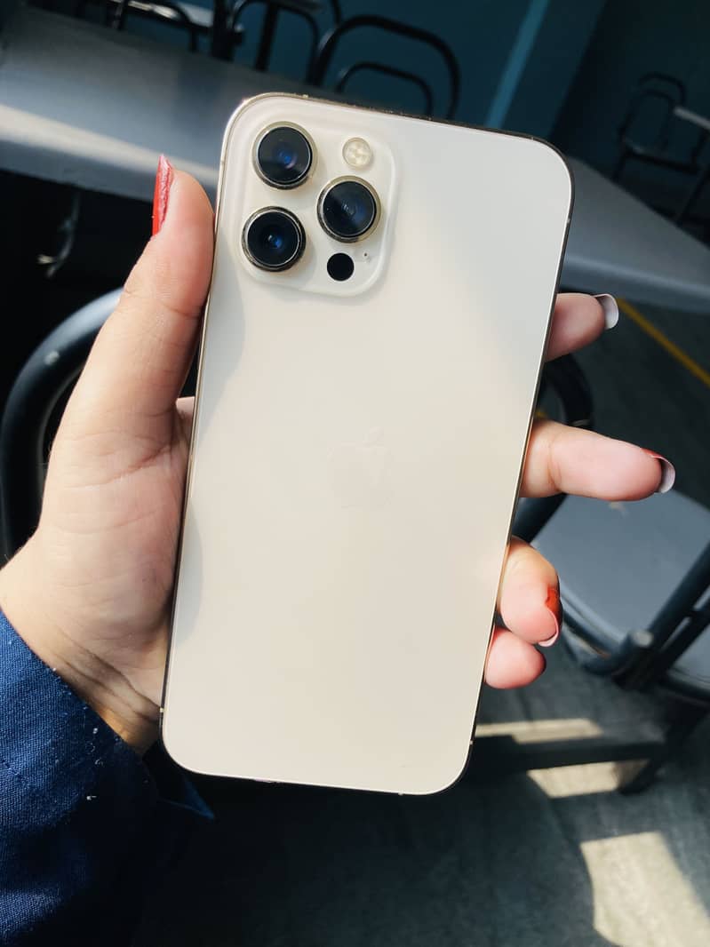 Apple iPhone 12 Pro Max 1