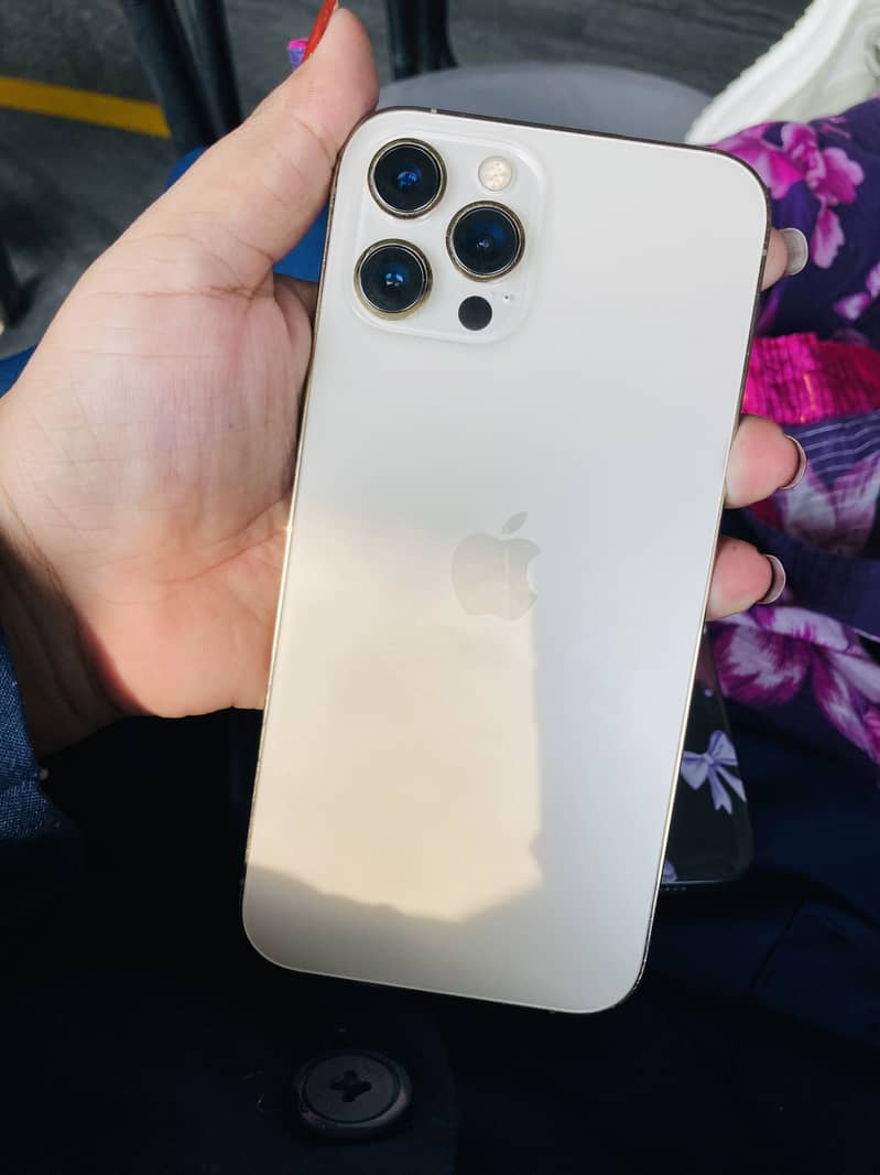 Apple iPhone 12 Pro Max 2